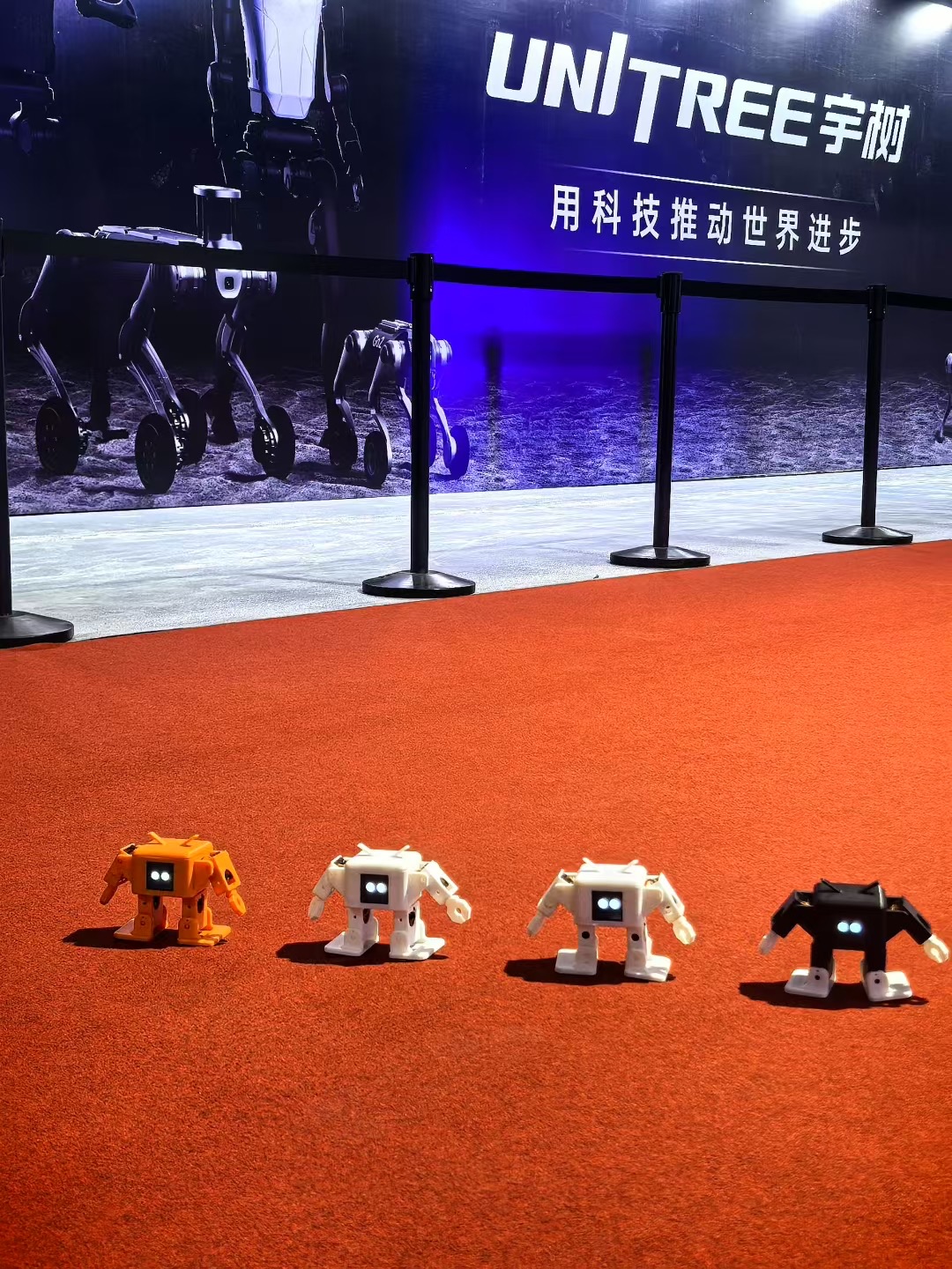 BIRTV2025观众互动